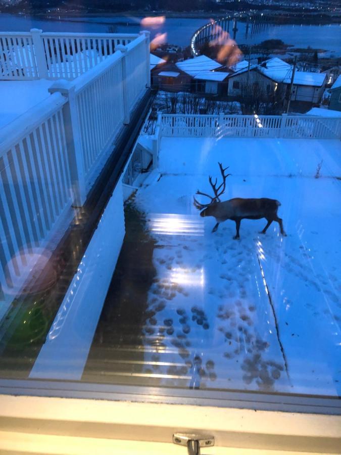 Moderne Og Trivelig Leilighet, Med Unik Utsikt Daire Tromsø Dış mekan fotoğraf