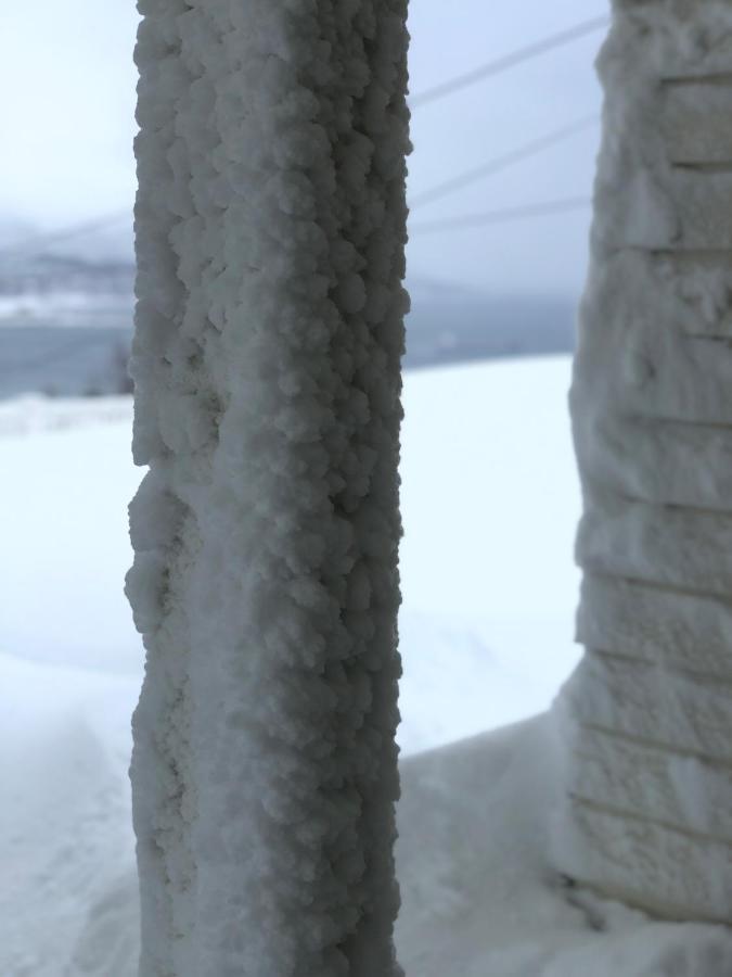 Moderne Og Trivelig Leilighet, Med Unik Utsikt Daire Tromsø Dış mekan fotoğraf